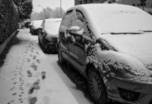заснеженные авто